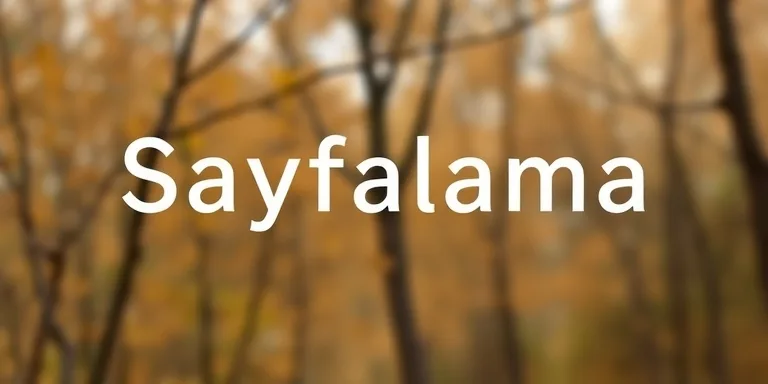 PHP Pagination Sayfalama