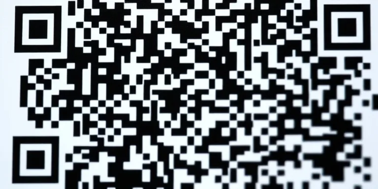 Python QR Kod