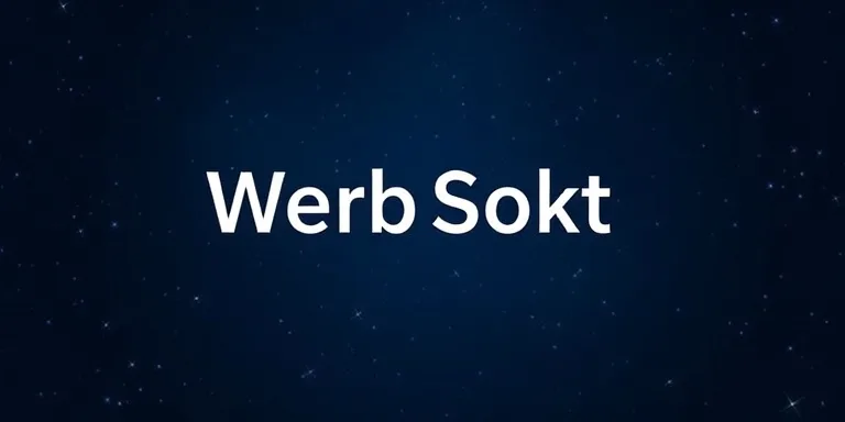WebSocket Basit Ornek